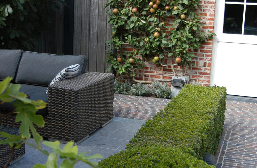 terras project embrechts